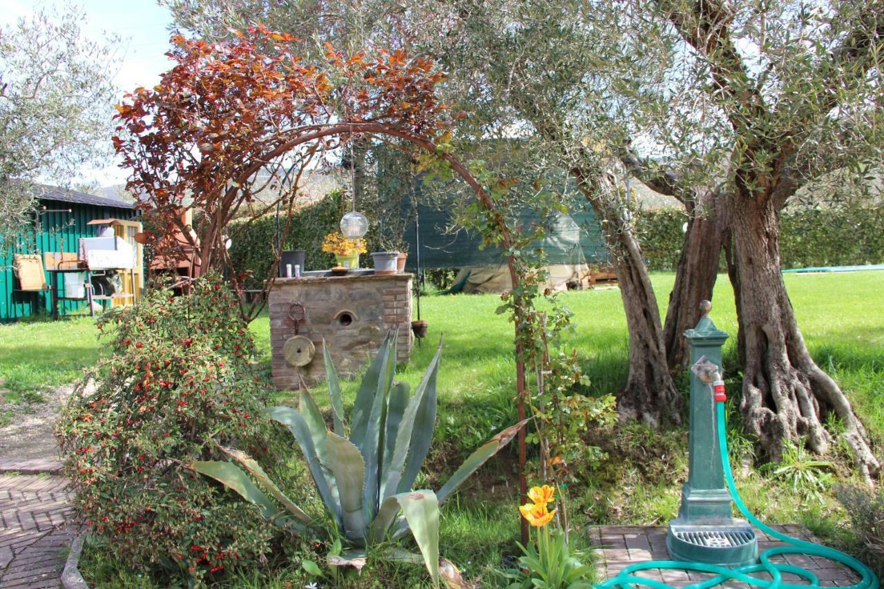 Le Coccole Del Trasimeno Tuoro sul Trasimeno Exterior foto