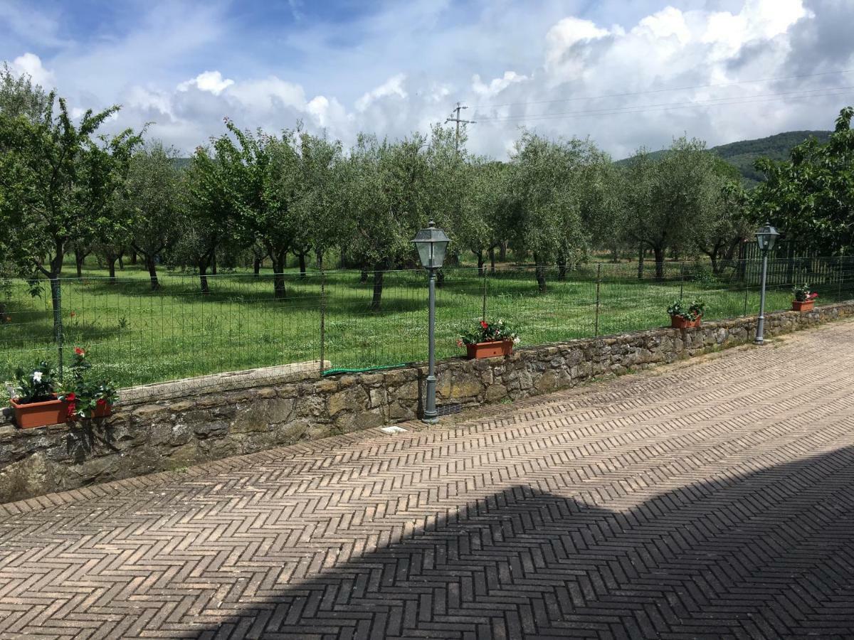 Le Coccole Del Trasimeno Tuoro sul Trasimeno Exterior foto